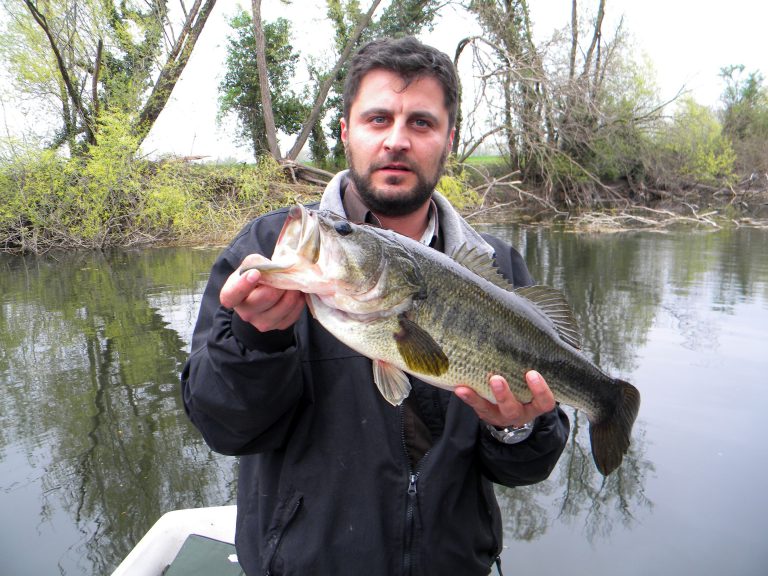 Cosa Si Pesca In Friuli Venezia Giulia
