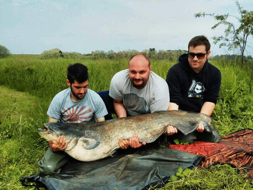 La Top 5 Delle Leggende Metropolitane Sul Pesce Siluro Il Blog Della Pesca