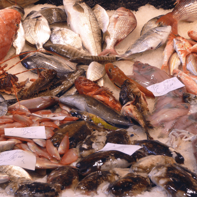 Perchè Si Dice Sano Come Un Pesce