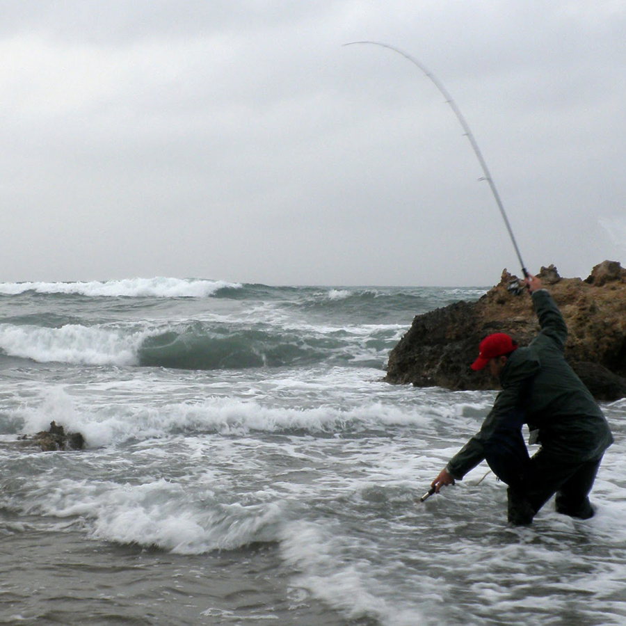 10 Avvolgitori Con Elastico Per Pesca In Mare - Esche Libere Colorate, Tronix