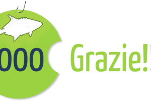 Grazie 1000