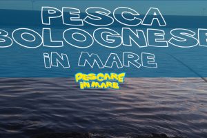 Pesca bolognese in mare