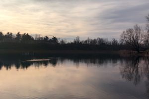 Lago airone