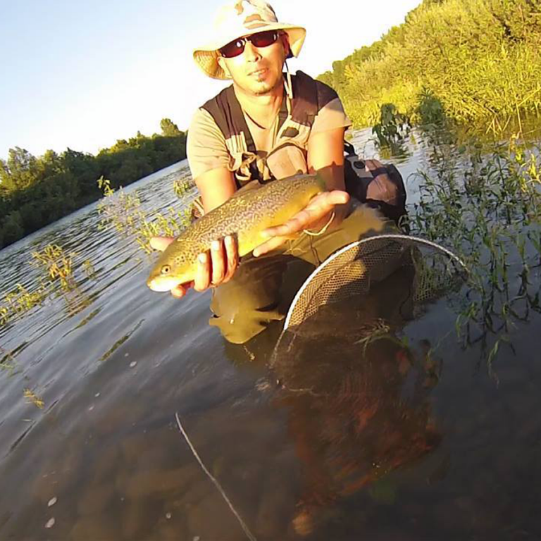 Cosa Si Pesca In Friuli Venezia Giulia